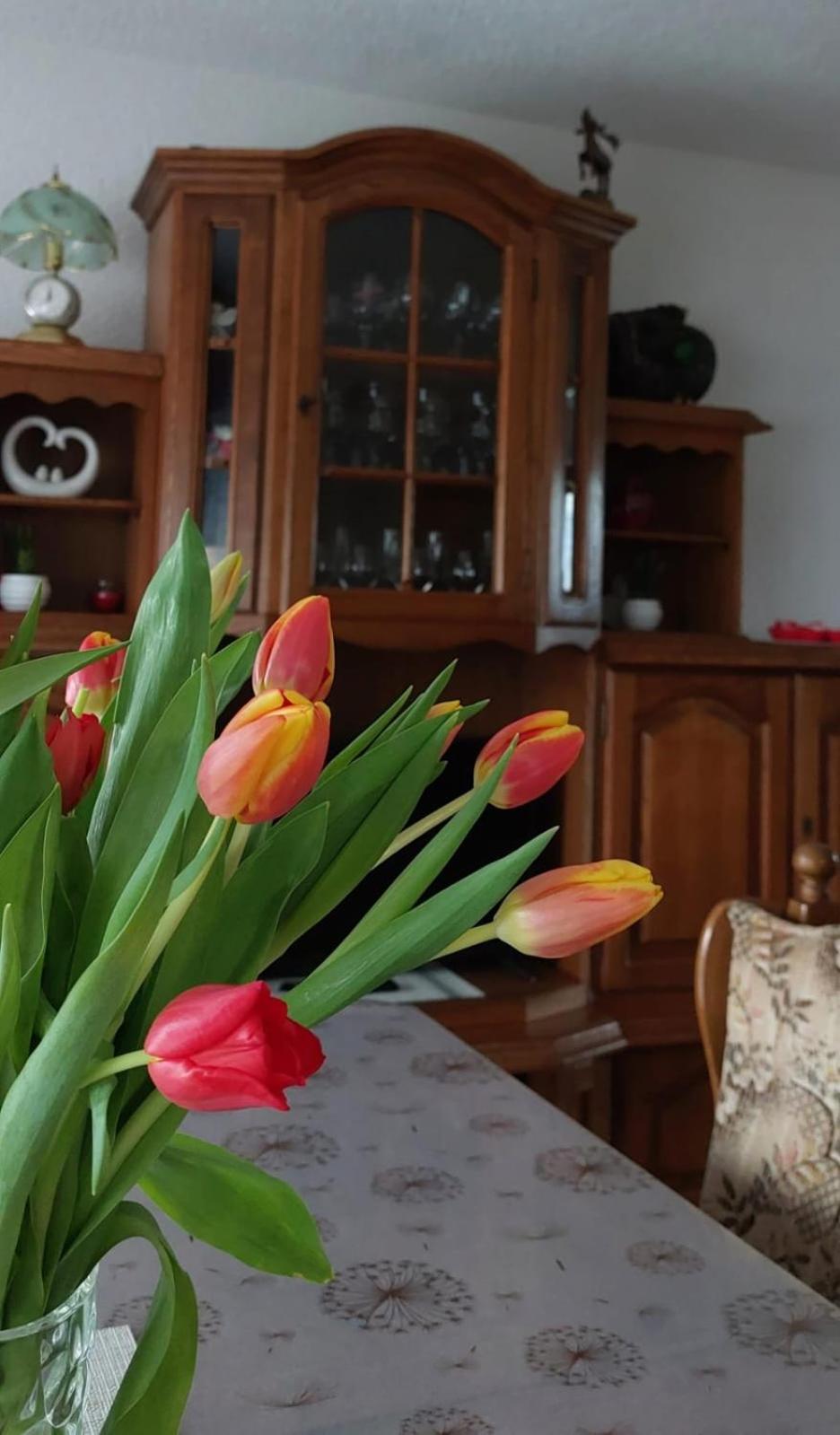 Kuca Za Odmor Boki Gospic
