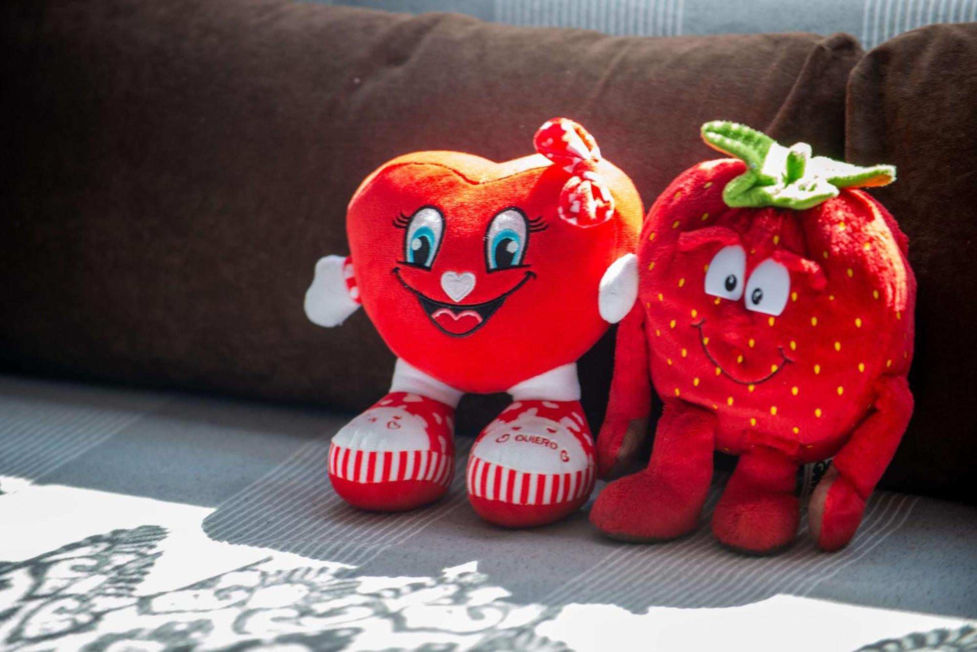 Kuca Za Odmor Boki Holiday home